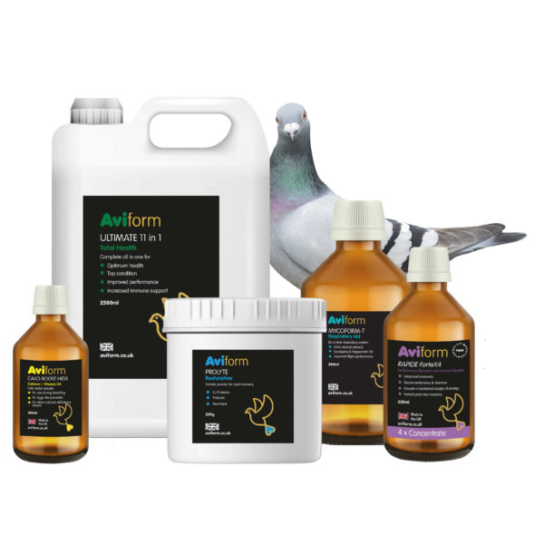 RACING PIGEON POWER PACK