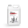 Bute Substitute for Horses