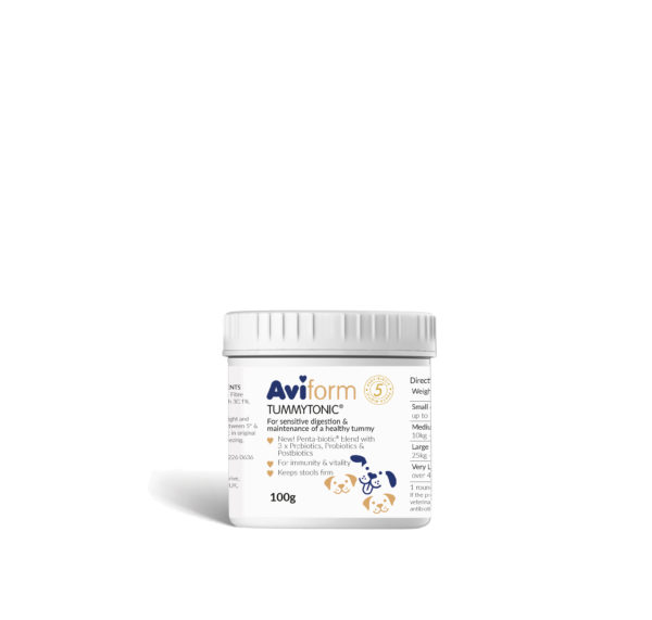 Digestive Supplement for Dogs
