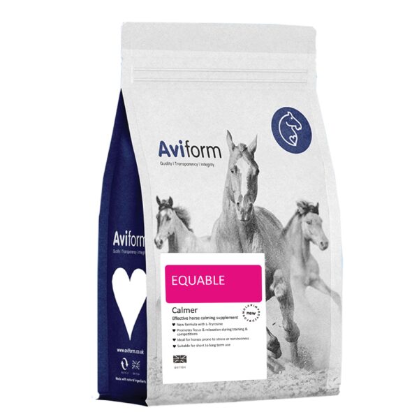 CLEARANCE! EQUABLE Powder Horse Calmer
